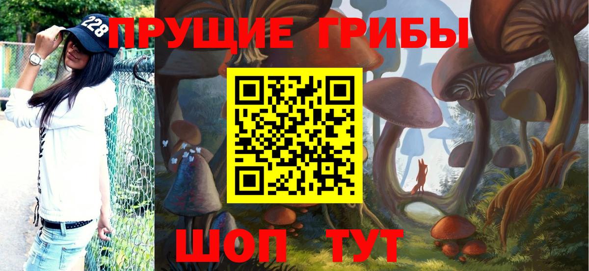 Псилоцибиновые грибы Cubensis  Вход с VPN  где продают наркотики  Псилоцибиновые грибы Psilocybine cubensis  Жуковский 